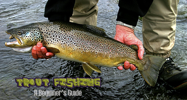 How to Catch Trout in a Lake: A Beginner’s Guide
