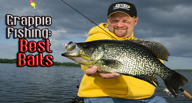 The Best Bait for Crappie