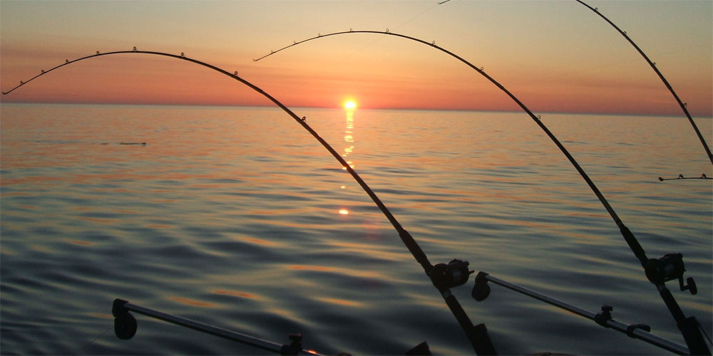 Featured Image For Best Fishing Rods & Reels – 2021 Guide