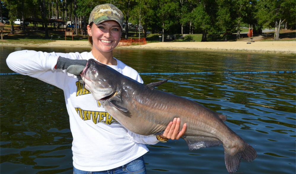 Featured Image For Best Catfish Reels of 2021: Buyer Guide