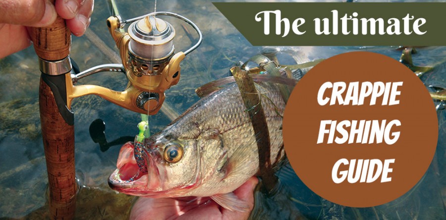 The Ultimate Crappie Fishing Guide