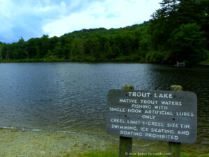 trout-lake