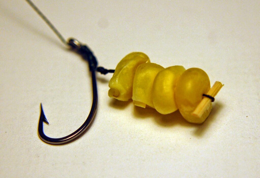 What Do Carp Eat? How & When To Catch More Carp