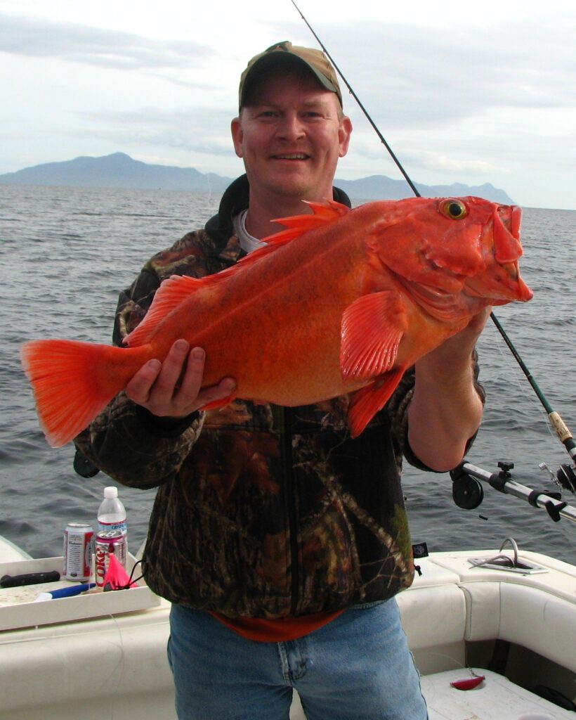 Best Bait For Rockfish How To Catch Rockfish