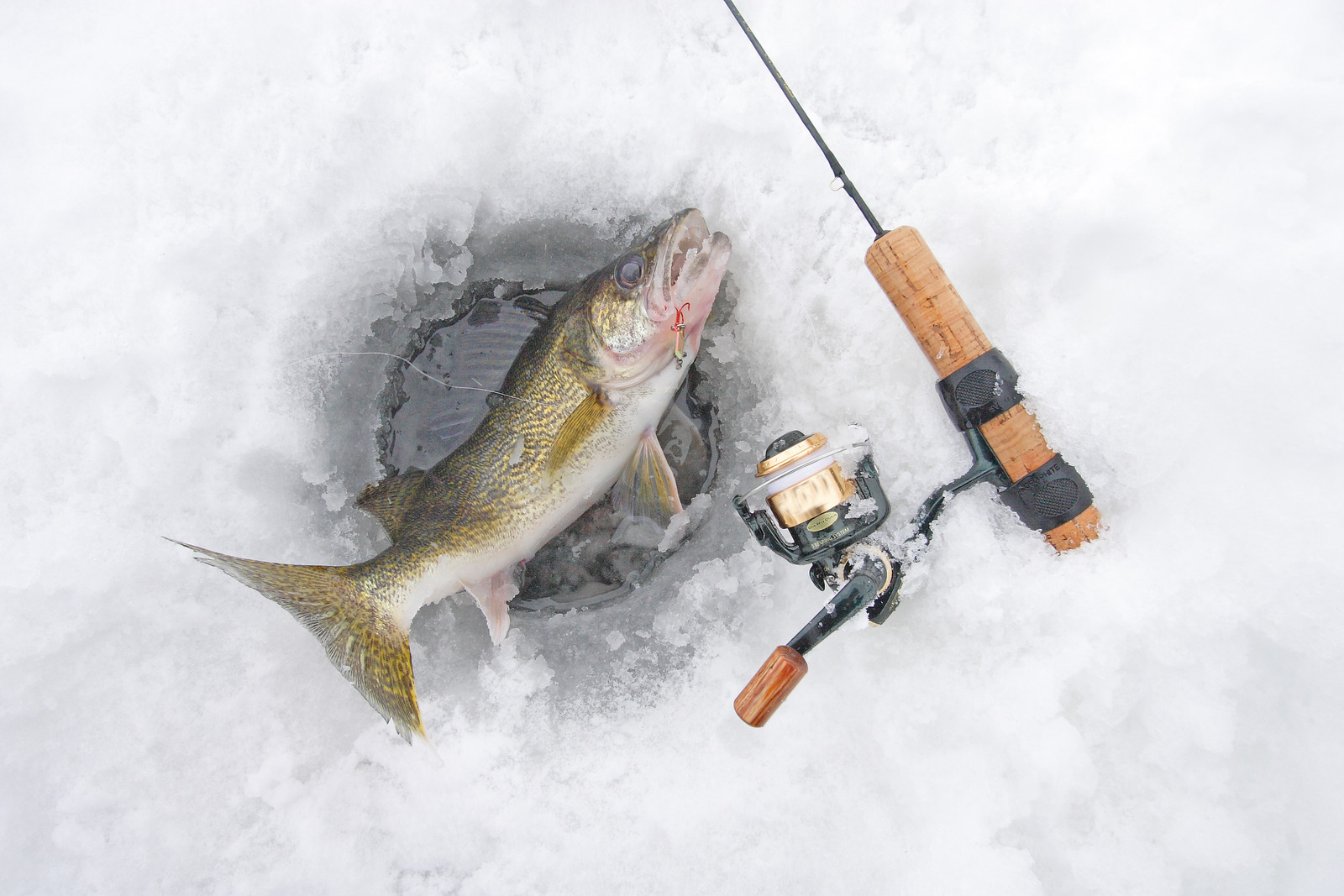 Ice Fishing For Walleye Best Jigs Lures, Rods & Line