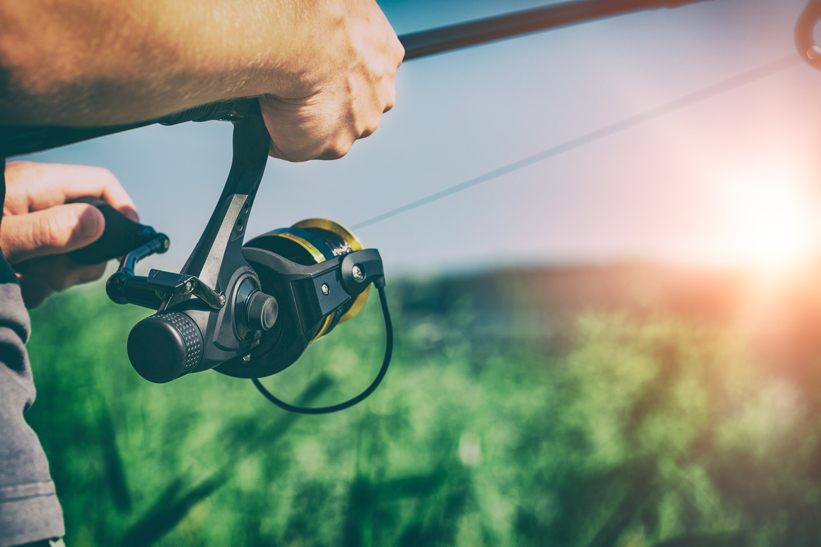 Best Fishing Reels In 2023 (Spinning/Fly/Casting/Spincast)