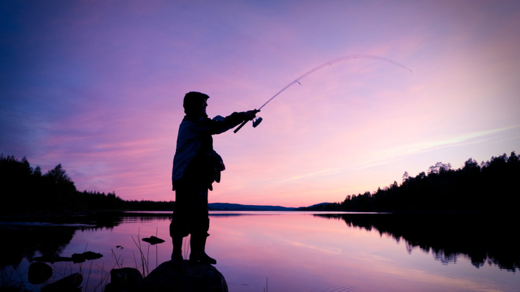 Featured Image For 11 Tips for Nighttime Pond Fishing
