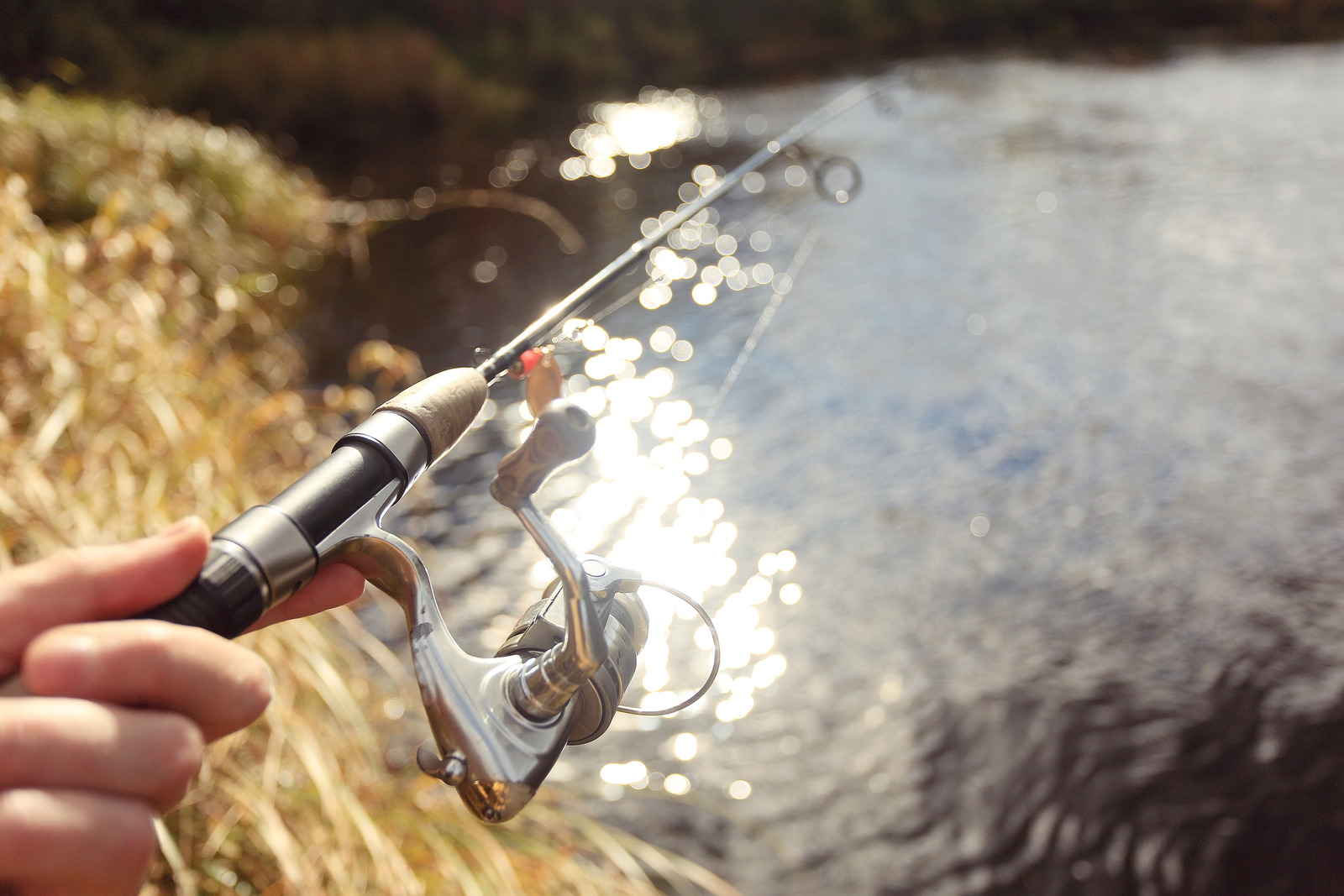 best ultralight spinning reel 2021