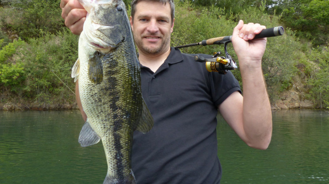 Featured Image For Sight Fishing For Spring Bass