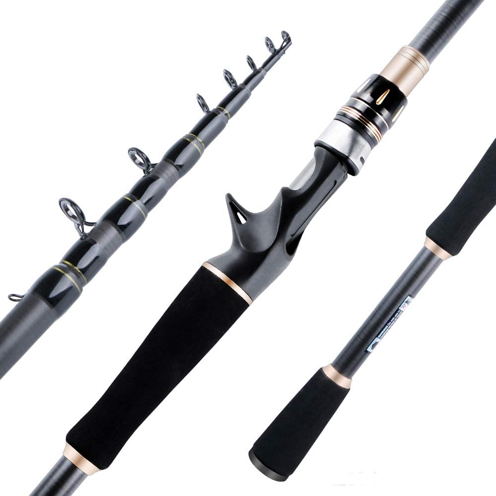 best travel fishing rods with case